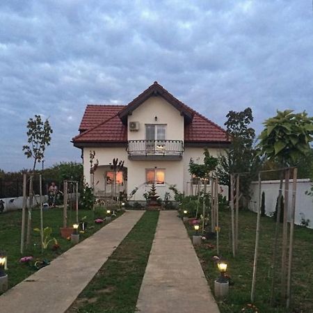 Hotel Blue Sky House Balotesti Exterior foto