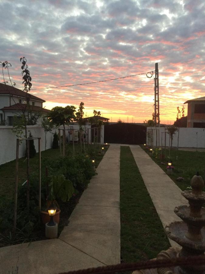 Hotel Blue Sky House Balotesti Exterior foto